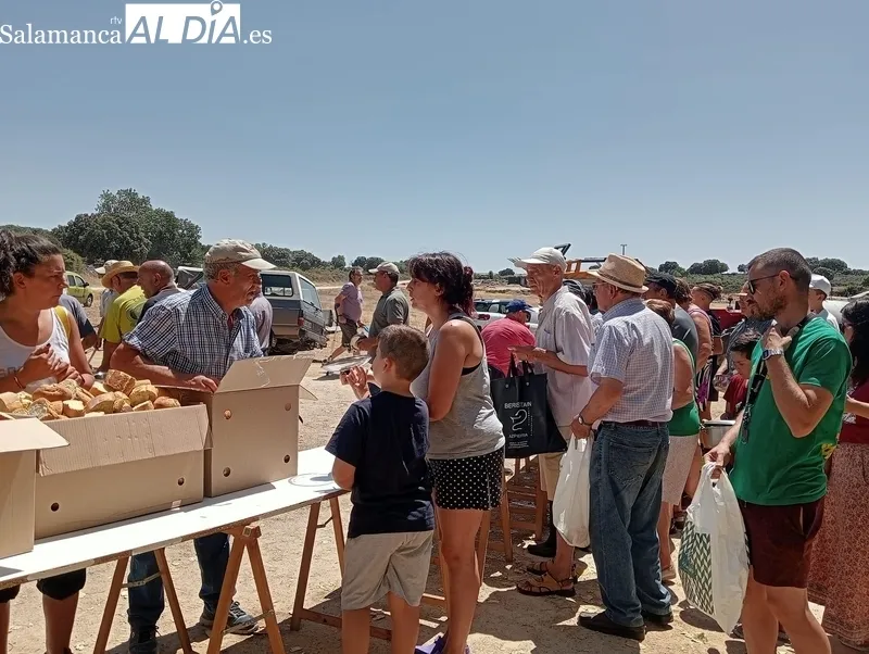 Paella en la chopera en Sobradillo para enfilar el final de las fiestas