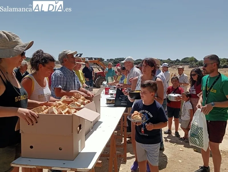 Paella en la chopera en Sobradillo para enfilar el final de las fiestas