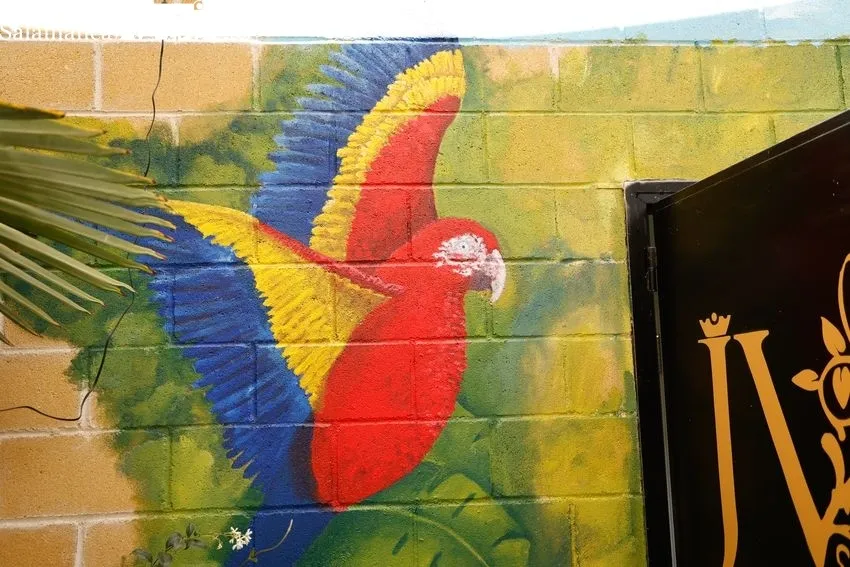 El Jardín del Virrey, ubicado en Avenida de los Reyes de España, 25 | Fotos: D. Sañudo