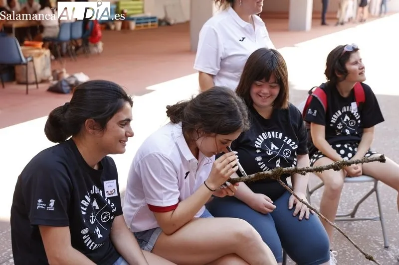 Semicolonias de Aviva dentro del programa municipal Verano Joven, en el centro cívico Luis Vives
