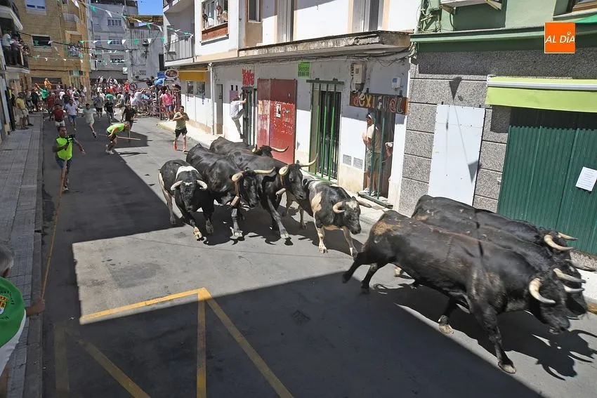 san buenaventura moraleja