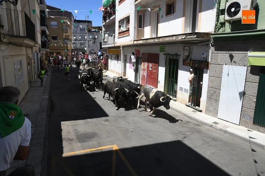 san buenaventura moraleja