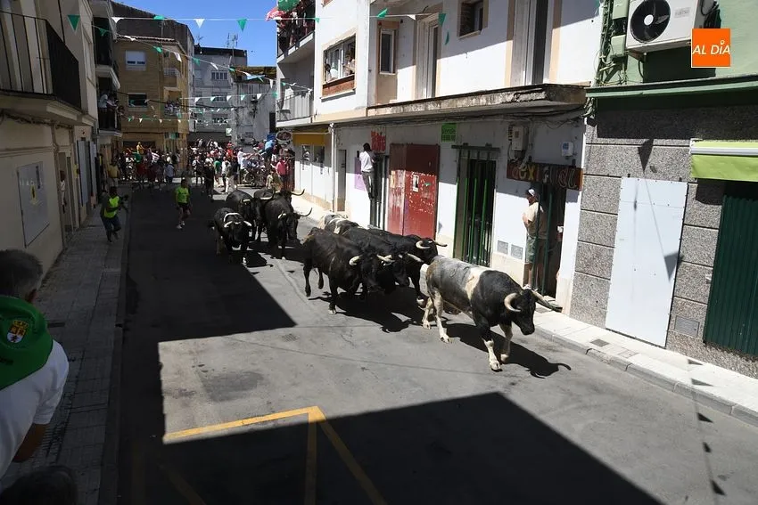 san buenaventura moraleja