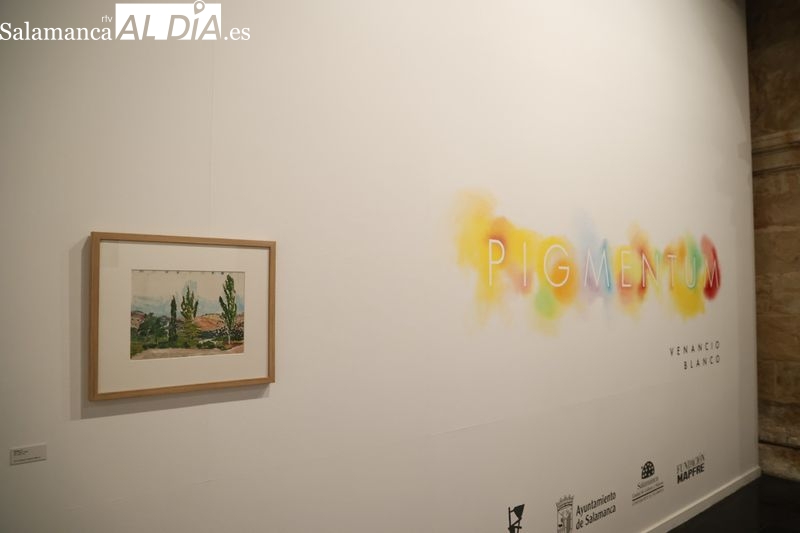 Exposición 'Pigmentum' con obras de Venancio Blanco en la Sala de Santo Domingo. Foto de David Sañudo