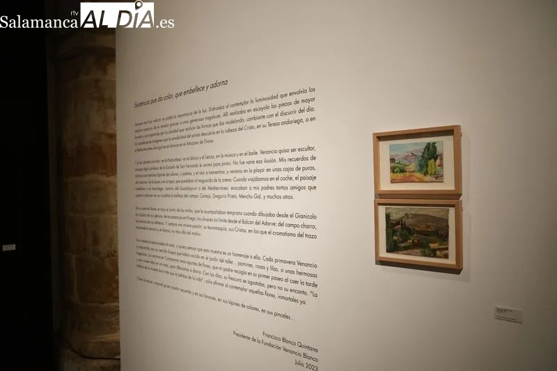 Exposición 'Pigmentum' con obras de Venancio Blanco en la Sala de Santo Domingo. Foto de David Sañudo