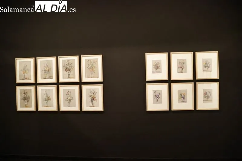 Exposición 'Pigmentum' con obras de Venancio Blanco en la Sala de Santo Domingo. Foto de David Sañudo
