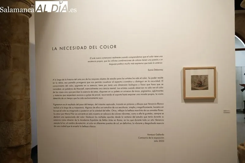 Exposición 'Pigmentum' con obras de Venancio Blanco en la Sala de Santo Domingo. Foto de David Sañudo