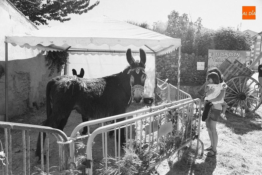 Foto 10 - Aldea del Obispo consolida su Feria Rural de La Raya pens&aacute;ndose incluso en que se extienda a Portugal
