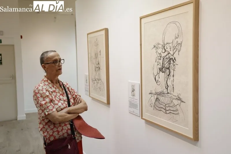 'Salvador Dalí, artista ilustrador', la exposición que ya se puede visitar en Santa Marta | FOTOS: David Sañudo 