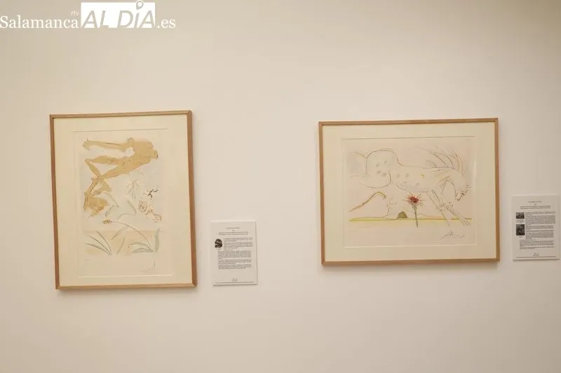 'Salvador Dalí, artista ilustrador', la exposición que ya se puede visitar en Santa Marta | FOTOS: David Sañudo 