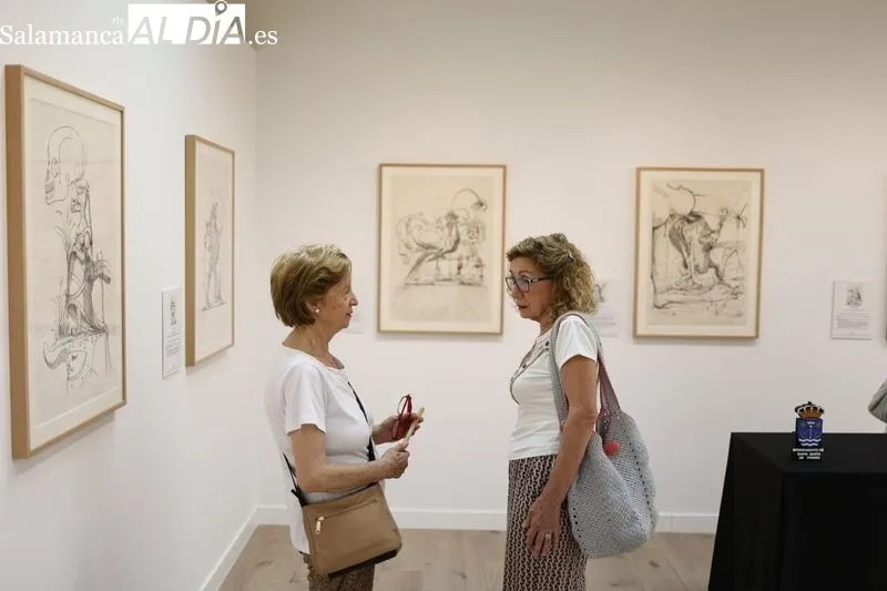 'Salvador Dalí, artista ilustrador', la exposición que ya se puede visitar en Santa Marta | FOTOS: David Sañudo 