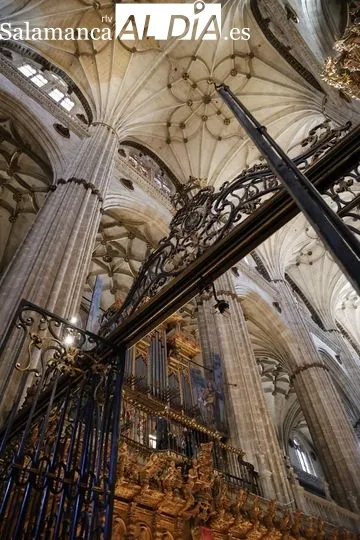 La Catedral se rinde ante el organista Daniel Oyarzábal | FOTOS: David Sañudo 