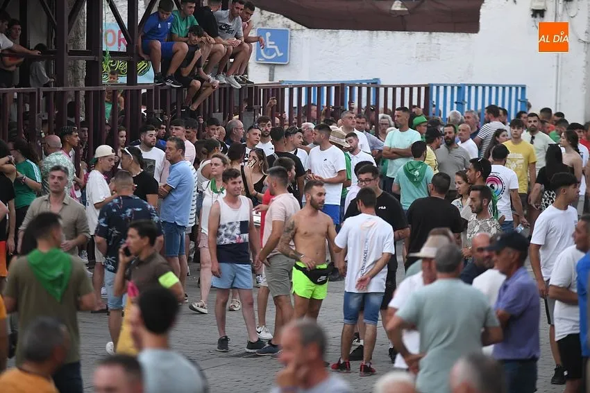 toro en Moraleja- fiestas san buenaventura moraleja