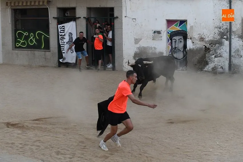 toro en Moraleja- fiestas san buenaventura moraleja
