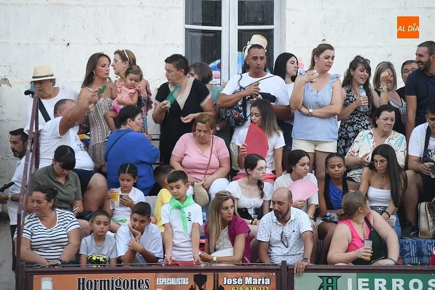 toro en Moraleja- fiestas san buenaventura moraleja