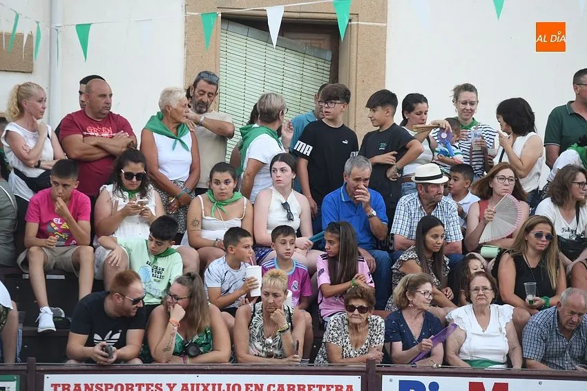 toro en Moraleja- fiestas san buenaventura moraleja