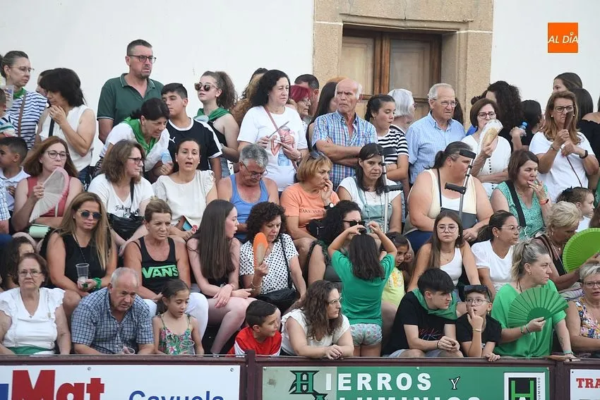 toro en Moraleja- fiestas san buenaventura moraleja