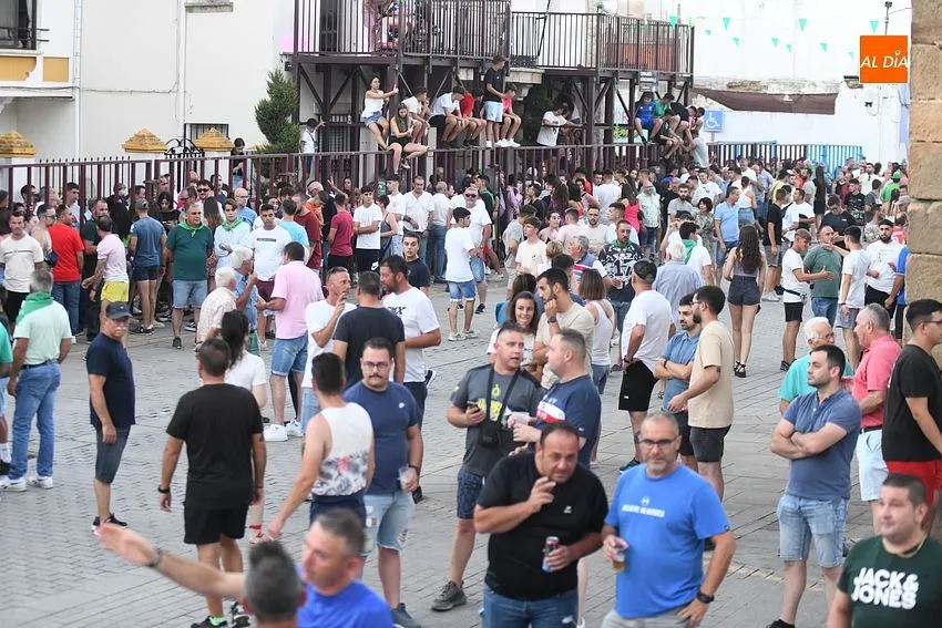 toro en Moraleja- fiestas san buenaventura moraleja