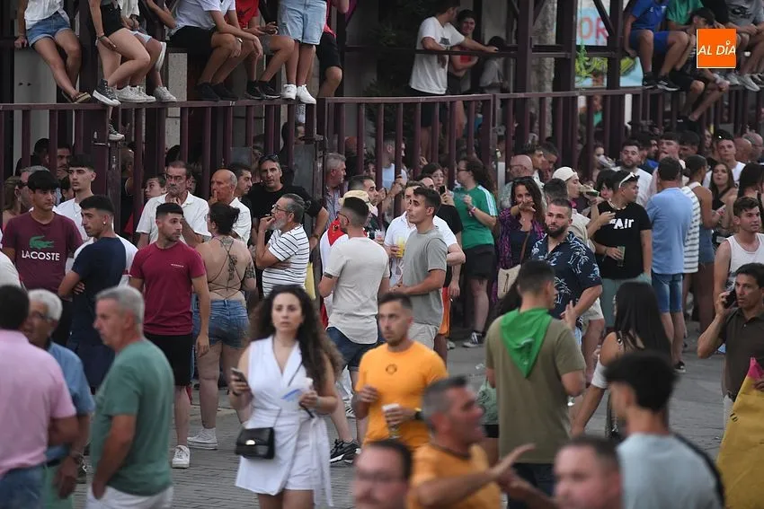 toro en Moraleja- fiestas san buenaventura moraleja