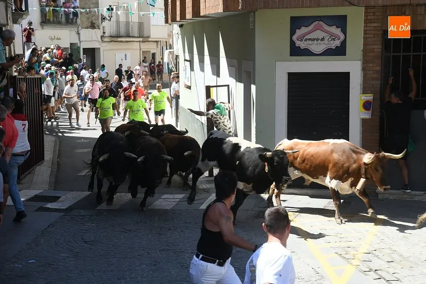 san buenaventura moraleja