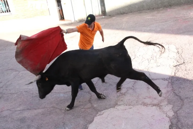 El Toro de Cajón dejaba dos heridos en Alaraz