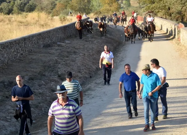 Foto 12 - Salvador Herrero y El&iacute;as Mart&iacute;n, galardonados en Aldead&aacute;vila