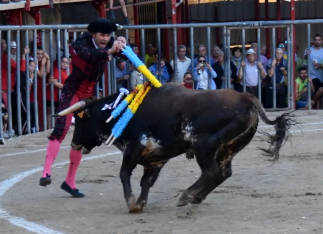 Foto 10 - Salvador Herrero y El&iacute;as Mart&iacute;n, galardonados en Aldead&aacute;vila