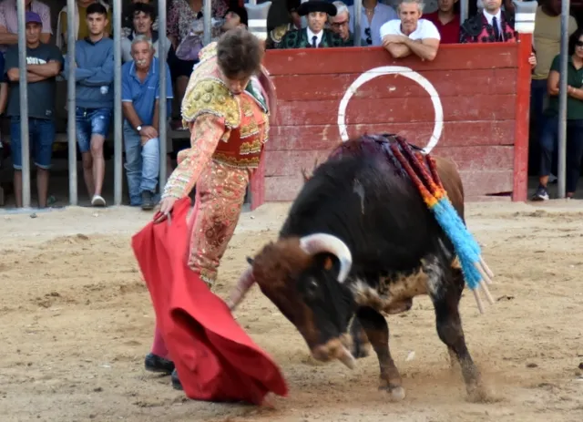 Foto 9 - Salvador Herrero y El&iacute;as Mart&iacute;n, galardonados en Aldead&aacute;vila
