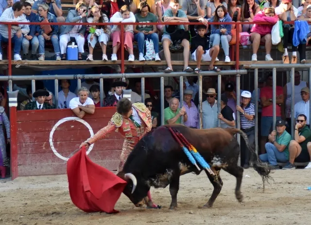 Foto 8 - Salvador Herrero y El&iacute;as Mart&iacute;n, galardonados en Aldead&aacute;vila
