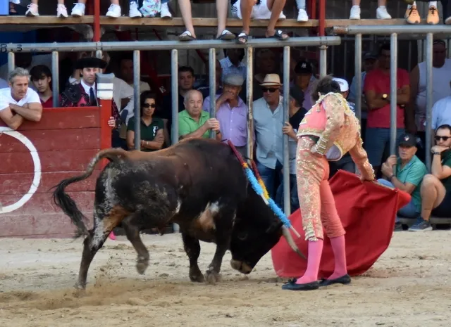 Foto 7 - Salvador Herrero y El&iacute;as Mart&iacute;n, galardonados en Aldead&aacute;vila