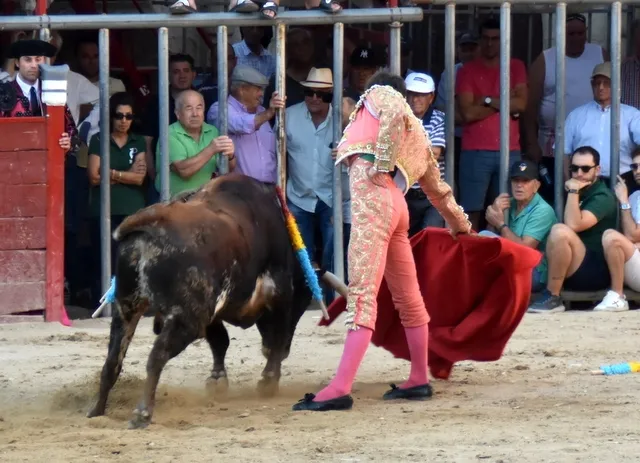 Foto 6 - Salvador Herrero y El&iacute;as Mart&iacute;n, galardonados en Aldead&aacute;vila