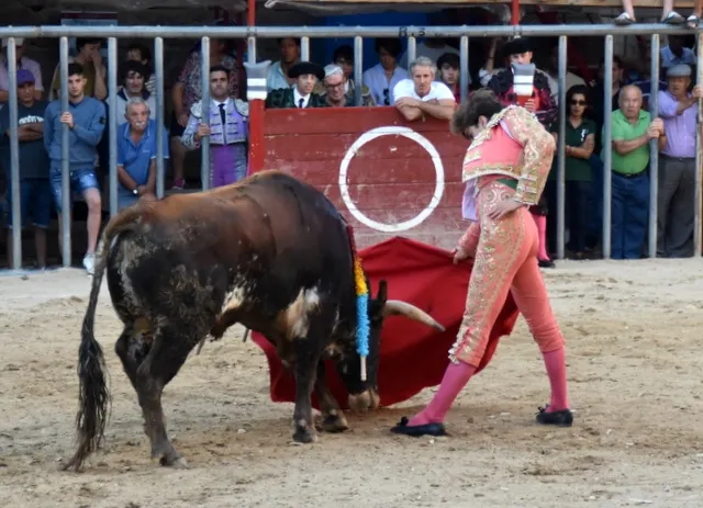 Foto 5 - Salvador Herrero y El&iacute;as Mart&iacute;n, galardonados en Aldead&aacute;vila