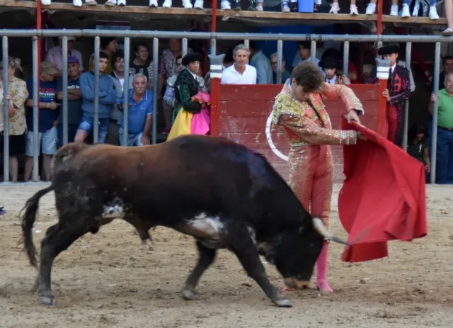 Foto 4 - Salvador Herrero y El&iacute;as Mart&iacute;n, galardonados en Aldead&aacute;vila