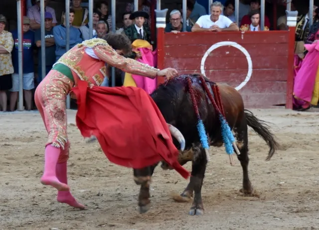 Foto 3 - Salvador Herrero y El&iacute;as Mart&iacute;n, galardonados en Aldead&aacute;vila