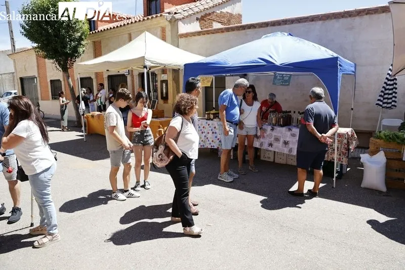 Foto 2 - &Eacute;xito de la I Feria Popular de Productos de la Armu&ntilde;a en La Vell&eacute;s