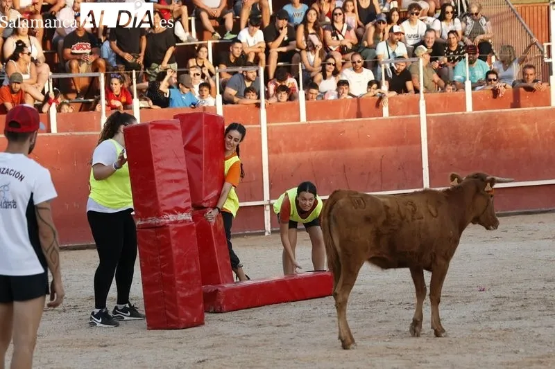Foto 10 - Ambientazo en las vaquillas de Carbajosa para seguir disfrutando de las fiestas