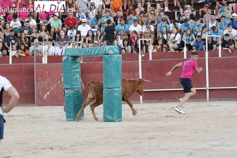 Foto 9 - Ambientazo en las vaquillas de Carbajosa para seguir disfrutando de las fiestas