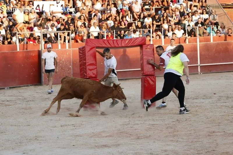 Foto 7 - Ambientazo en las vaquillas de Carbajosa para seguir disfrutando de las fiestas