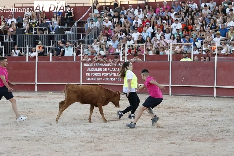 Foto 5 - Ambientazo en las vaquillas de Carbajosa para seguir disfrutando de las fiestas