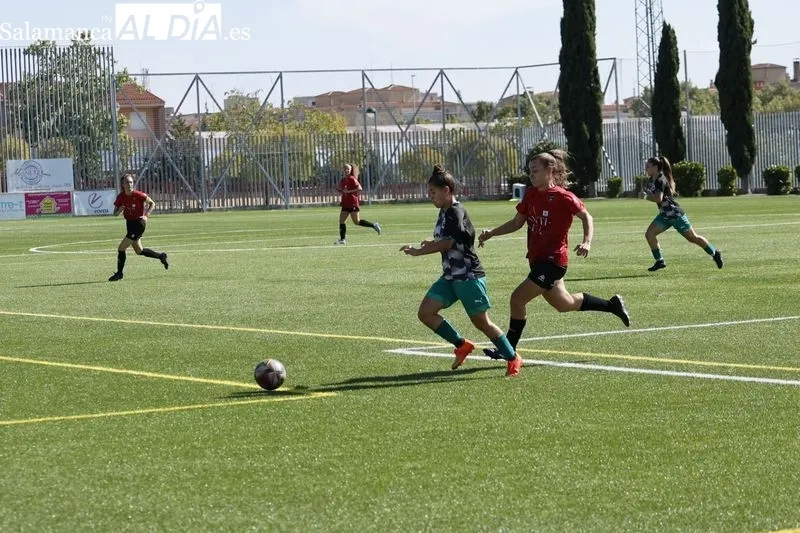 Galería de imágenes del torneo / Fotos: David Sañudo