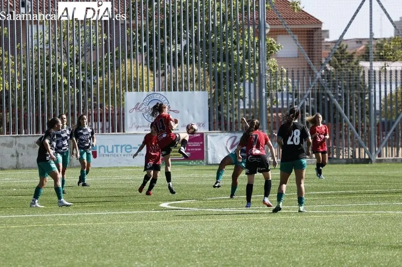 Galería de imágenes del torneo / Fotos: David Sañudo