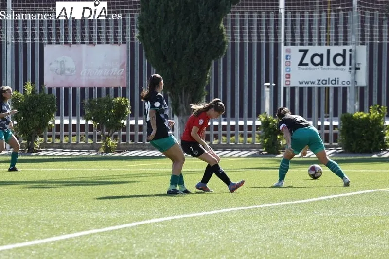 Galería de imágenes del torneo / Fotos: David Sañudo