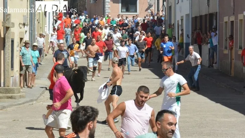 Foto 7 - Entretenido y emocionante segundo encierro a caballo en las fiestas de Lumbrales