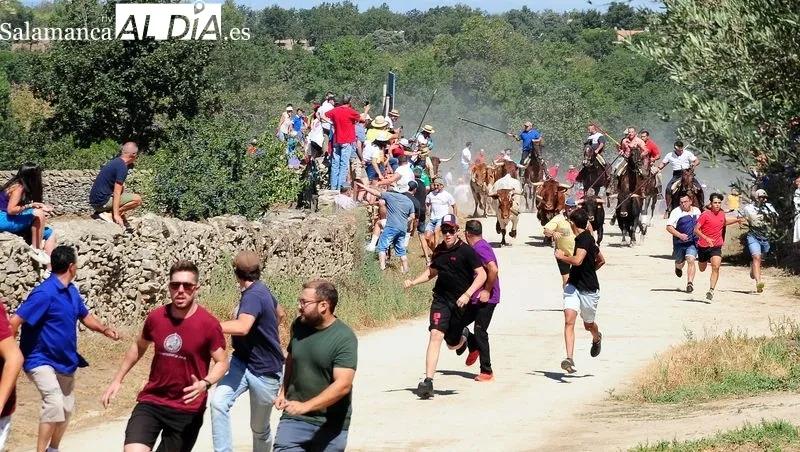 Foto 4 - Numeroso p&uacute;blico disfruta de un bonito primer encierro a caballo de las fiestas de Lumbrales