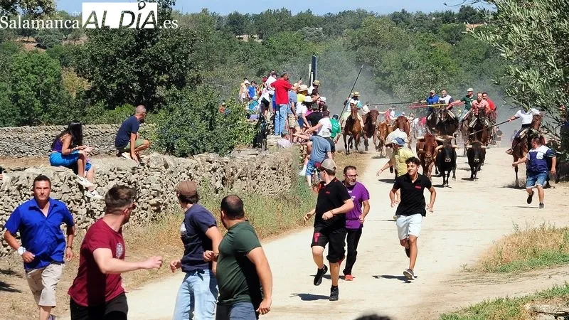 Foto 3 - Numeroso p&uacute;blico disfruta de un bonito primer encierro a caballo de las fiestas de Lumbrales