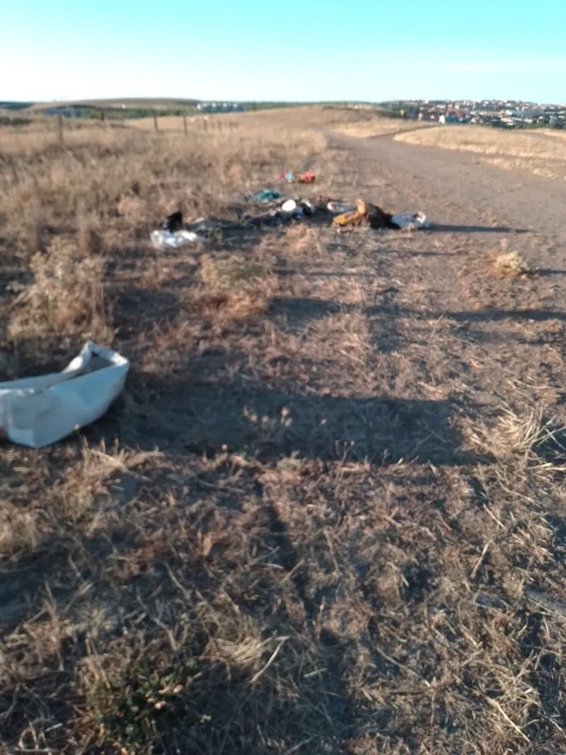 Foto 9 - Los vecinos de Tejares critican los escasos resultados en la limpieza de la basura acumulada en los alrededores del barrio