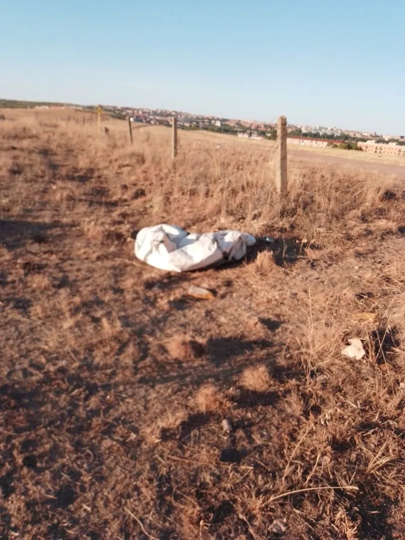 Foto 5 - Los vecinos de Tejares critican los escasos resultados en la limpieza de la basura acumulada en los alrededores del barrio