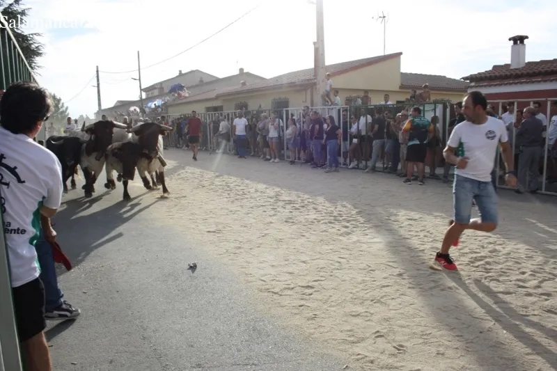 Babilafuente celebraba su primer encierro de las fiestas con gran ambiente