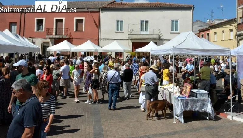 Foto 3 - Lumbrales vive una animada despedida de fiestas con la Feria Hort&iacute;cola y una comida popular