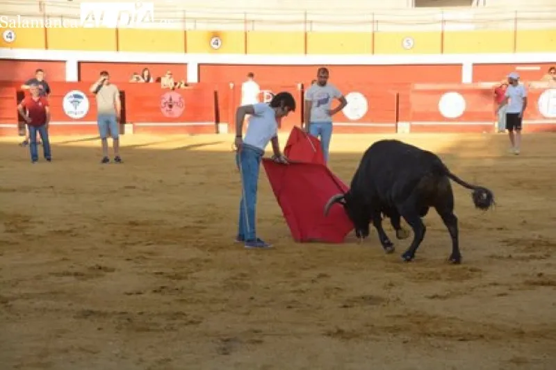 La plaza de toros de Macotera acogía la lidia de dos novillos y vaquillas